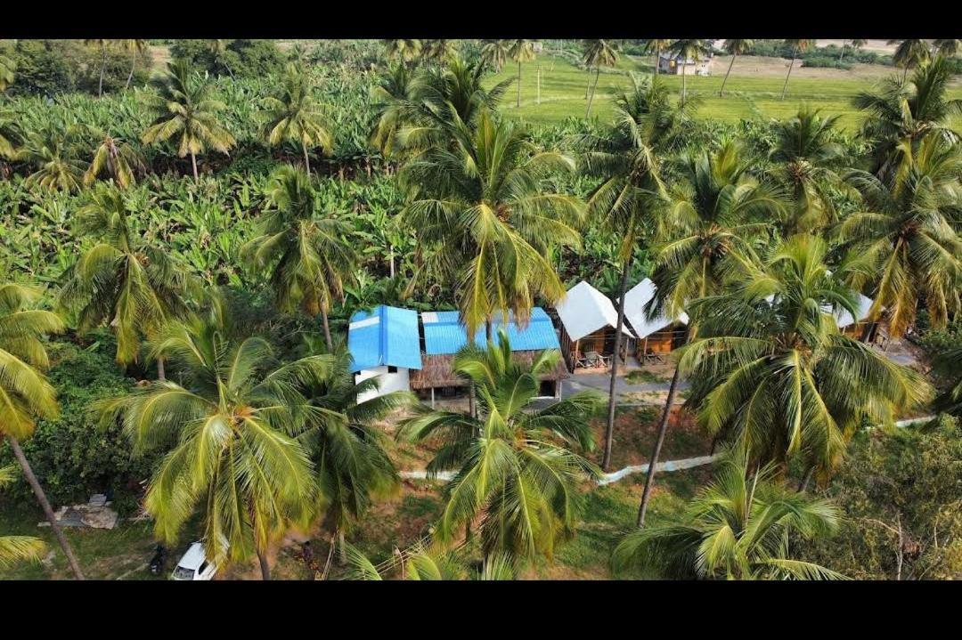 Hotel River Bay Hampi Extérieur photo